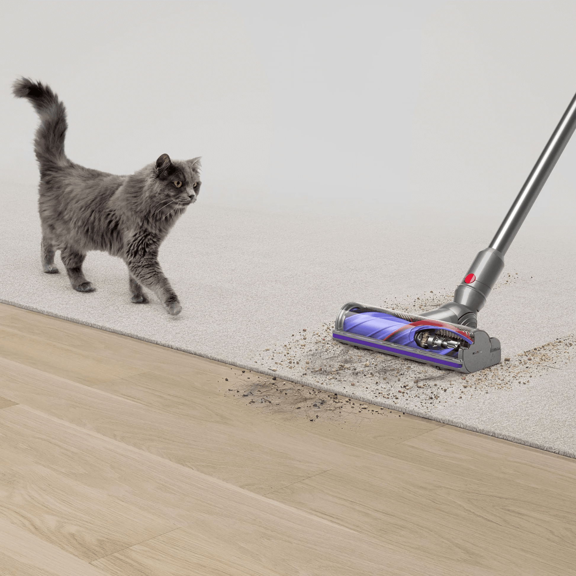 Dyson V12 Detect Slim™ Aspirador de Pó Sem Fio - Bivolt – Dyson Brasil Dyson V12 Detect Slim™ Aspirador de Pó Sem Fio - Bivolt – Dyson Brasil