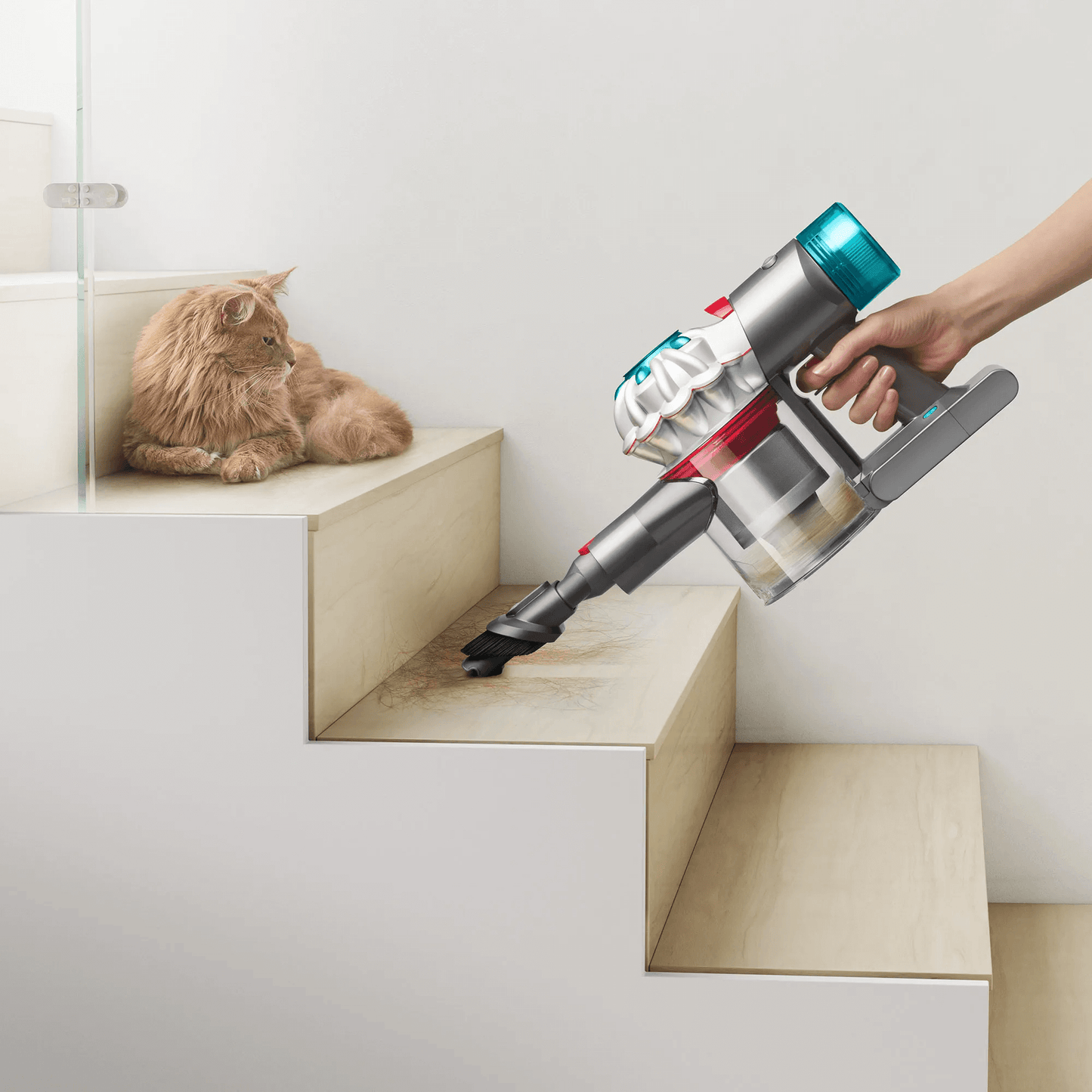 Dyson V8 Absolute Aspirador de Pó Sem Fio - Bivolt